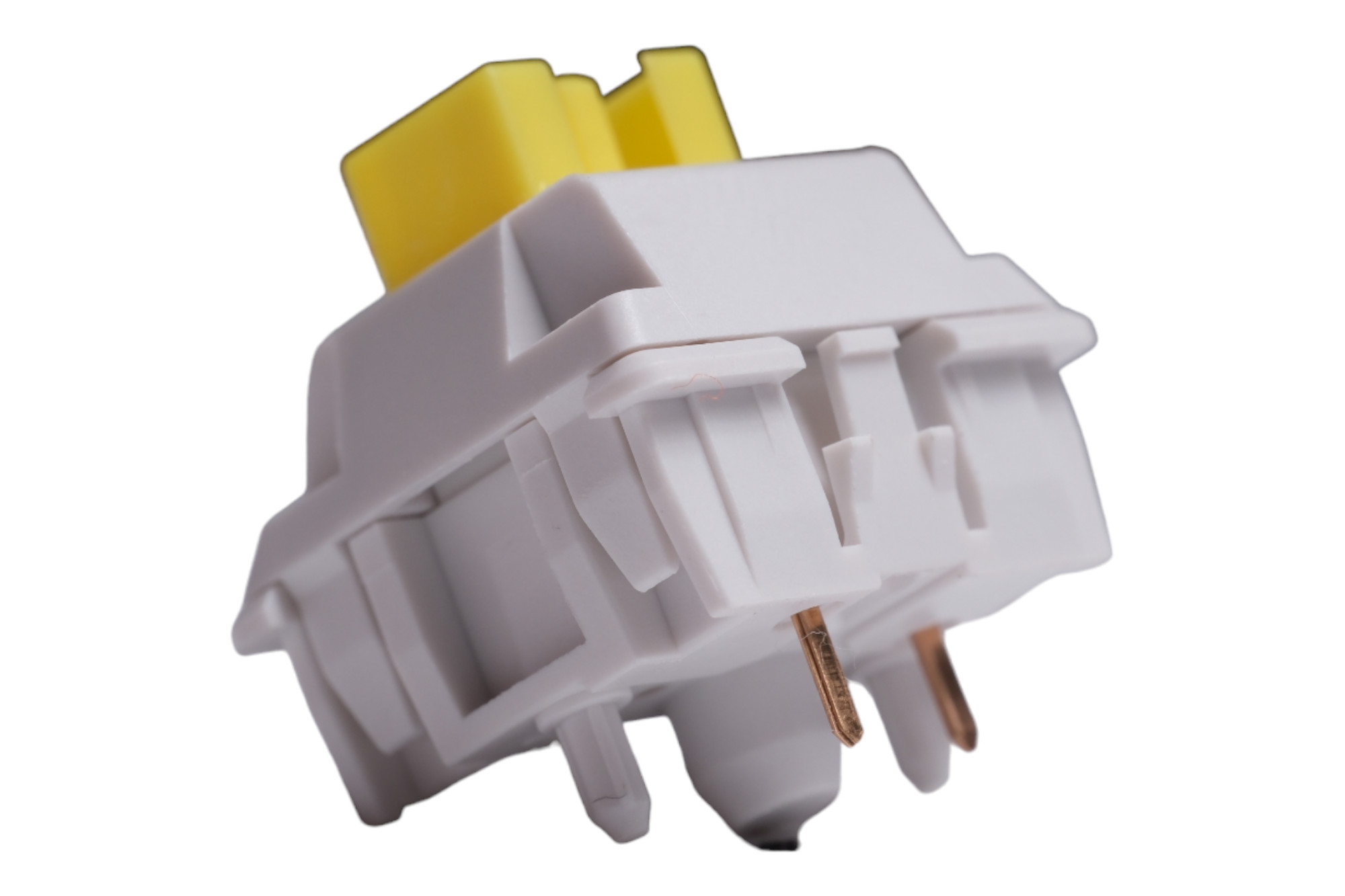 WS_Yellow_2_rpkspe.jpg